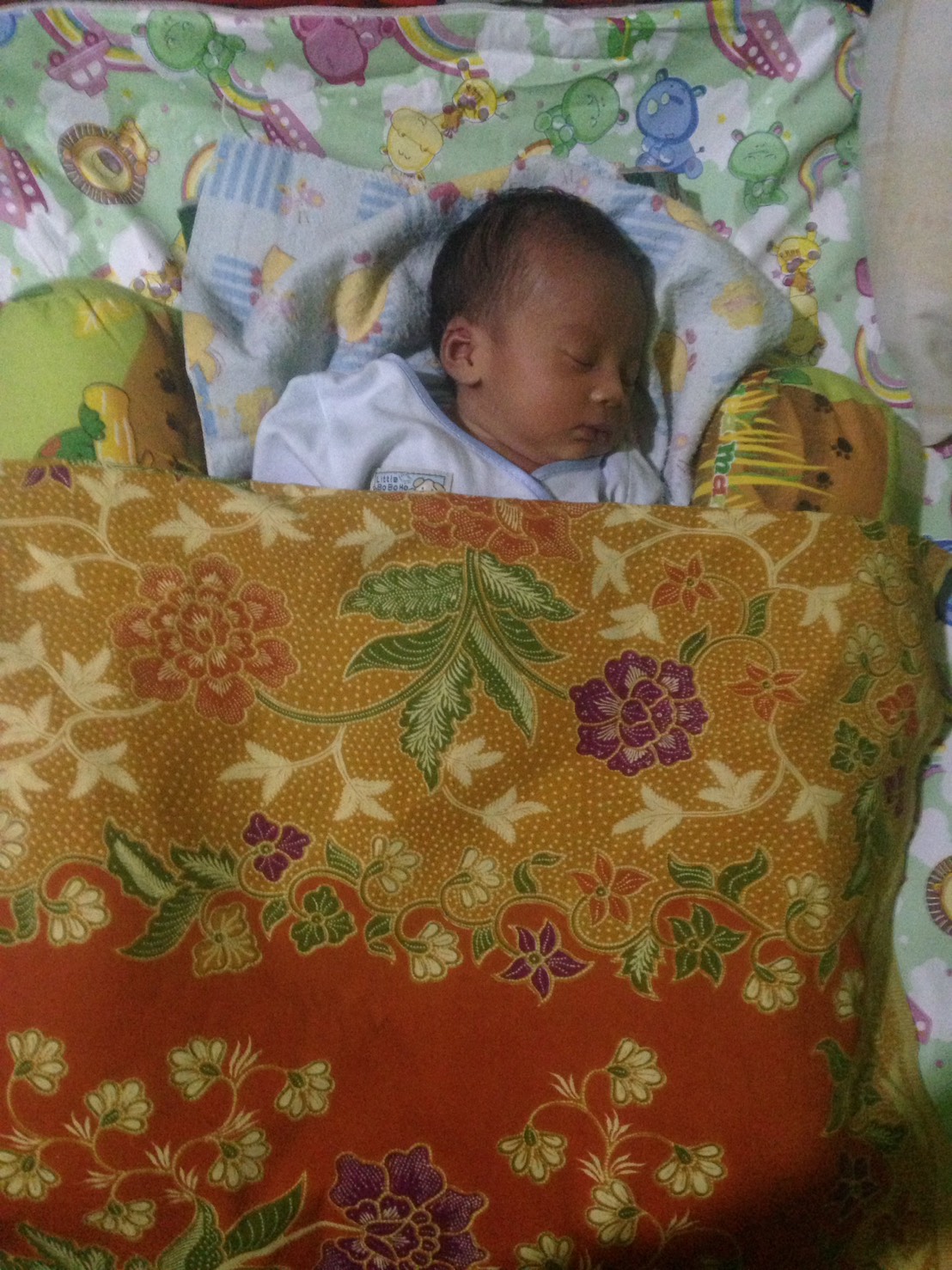 Ulfa Humayra Usia 8 Hari