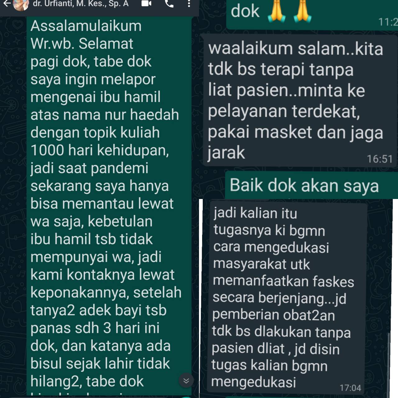 Laporan ke dosen pembimbing, ibu hamil nur haedah