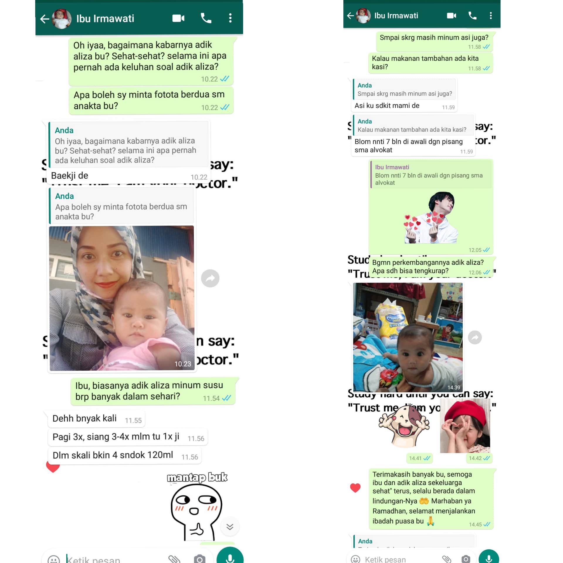 Follow Up Via Wa (SUDAH BISA TENGKURAP!)